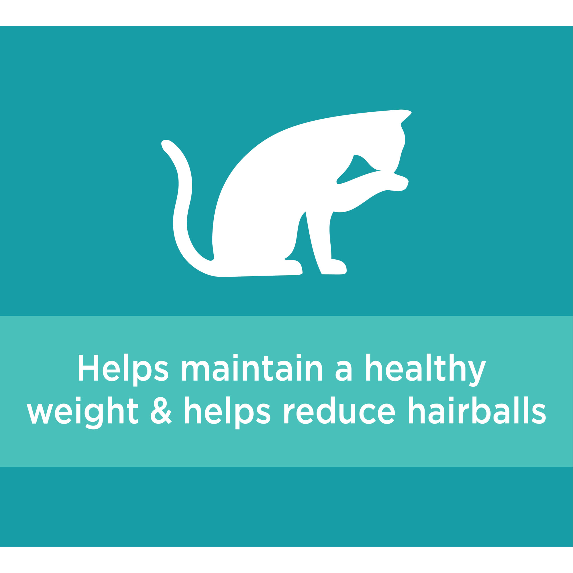 Iams ProActive Health Indoor Weight Control  Hairball Care Chicken  Turkey Adult Dry Cat Food， 22 lbs.