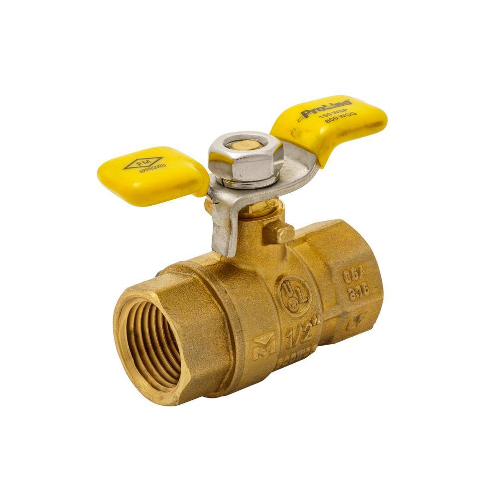 ProLine 12 in. x 12 in. Brass T-Handle Ball Valve 107-823THN