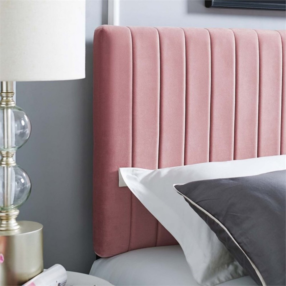 Modway Keira Velvet Full Queen Headboard in Dusty Rose   Contemporary   Headboards   by Homesquare  Houzz