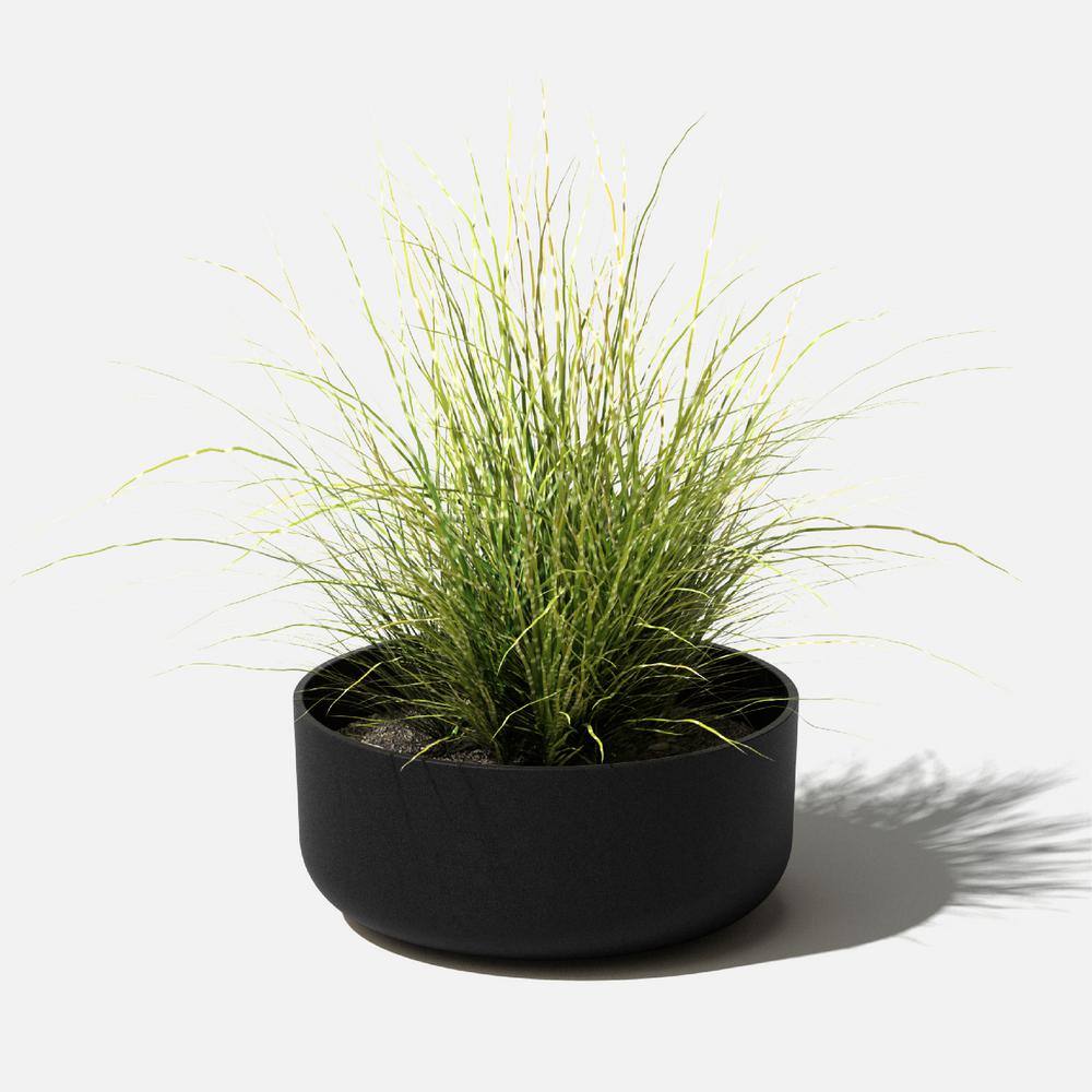 Veradek Kona Bowl 14 in. Round Black Plastic Planter KNBV14B