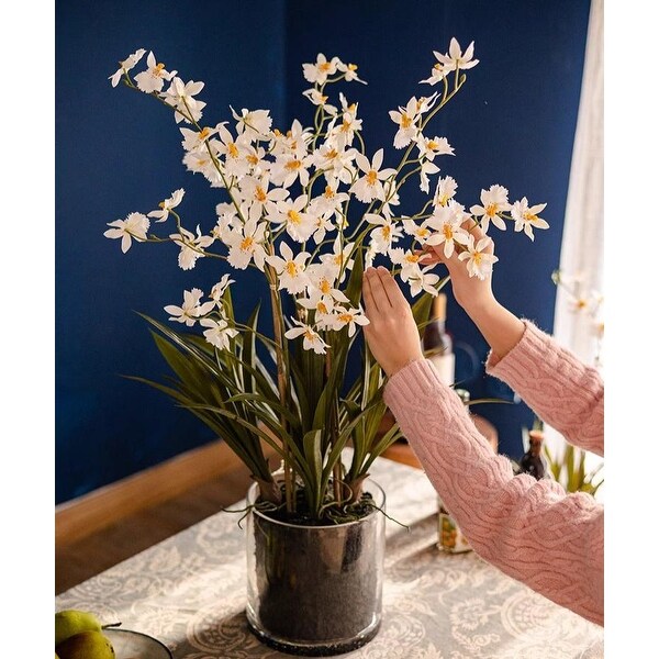 RusticReach White Hui Lan Orchid in Glass Pot