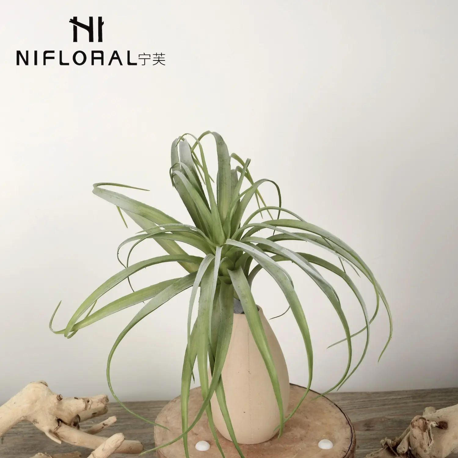 Wholesale price realistic indoor decoration hedges artificial air plants home decor grass