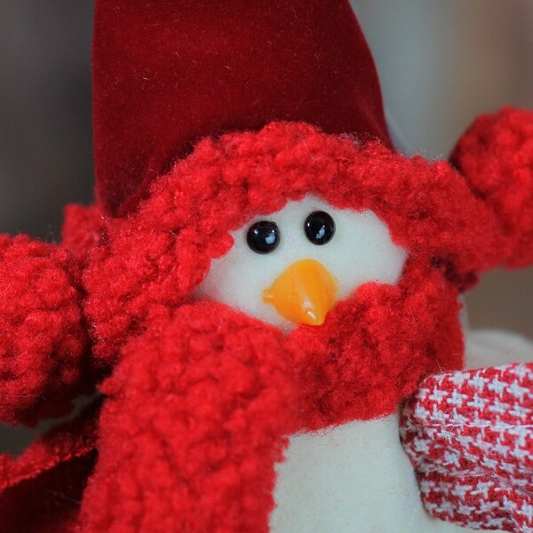 Bird with Scarf Winter Hat Christmas Standing Figure 8.5 Red White