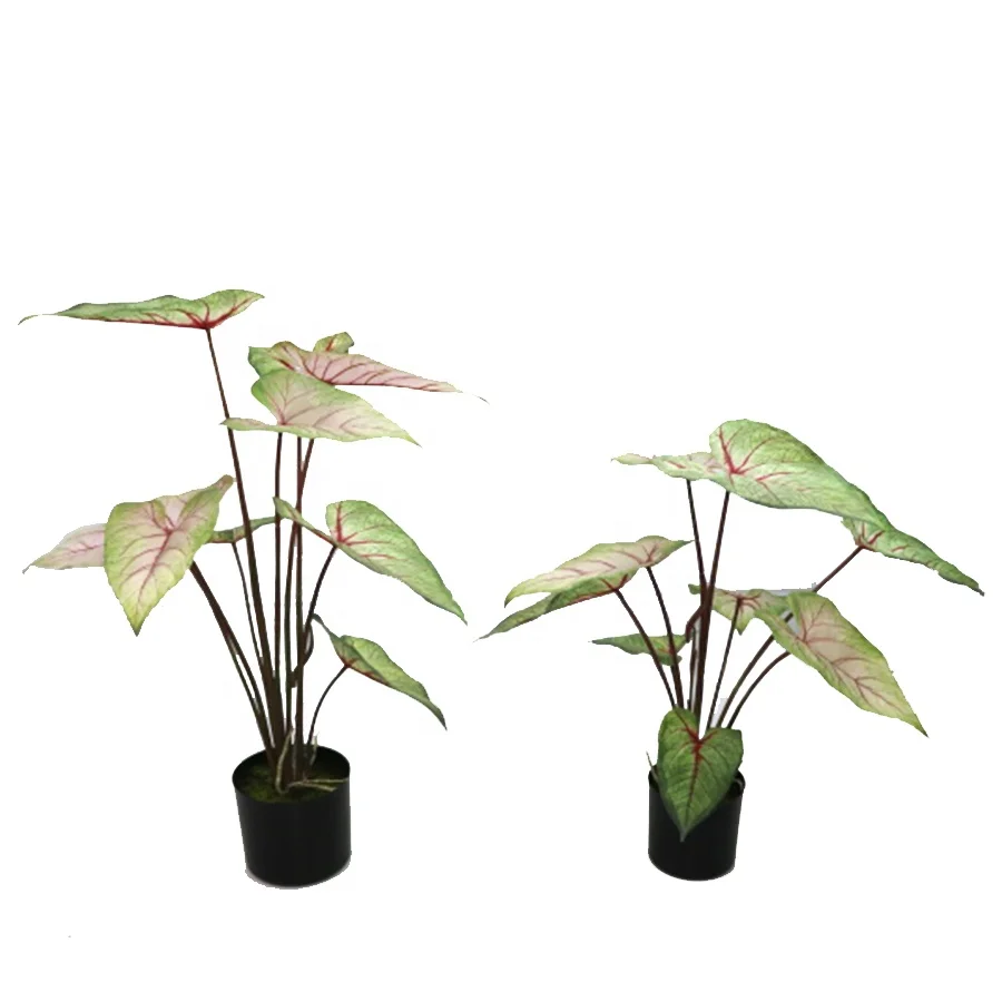 Supplies 72cm high artificial alocasia plant for landscape decoration