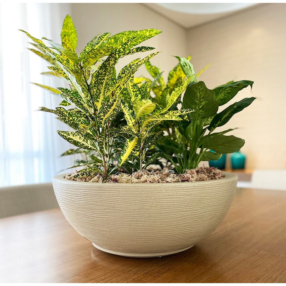 Floridis Amsterdan Large Planter Bowl