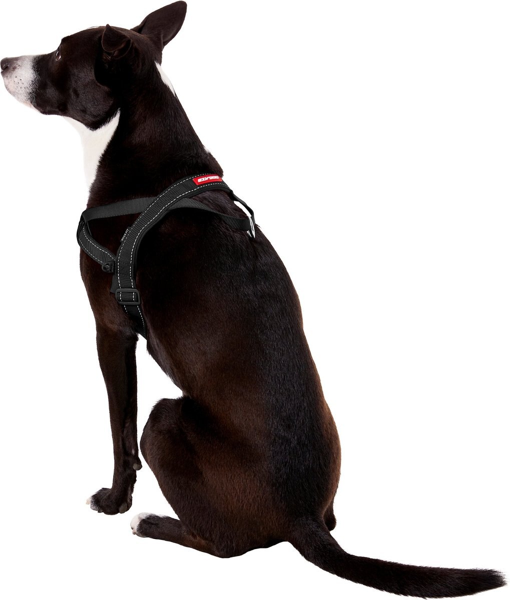 EzyDog Quick Fit Dog Harness