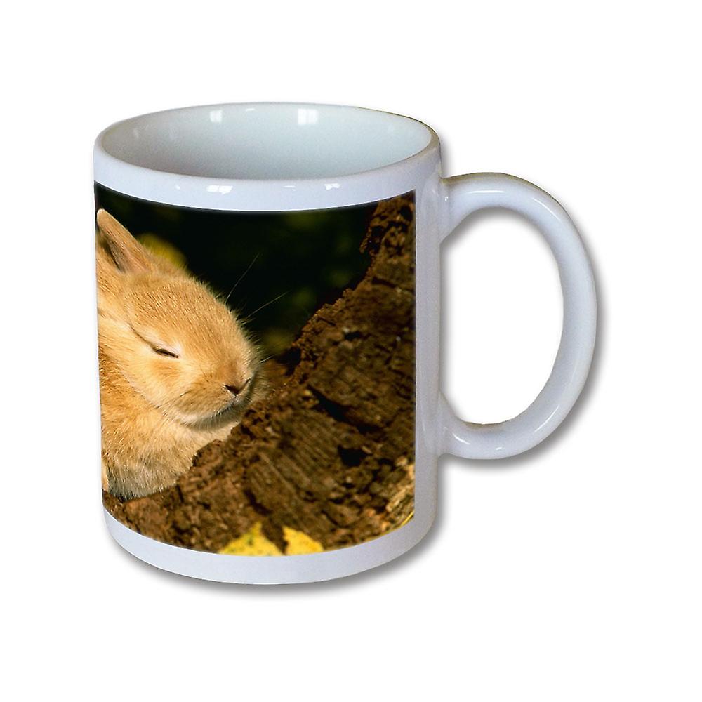 Rabbits Mug