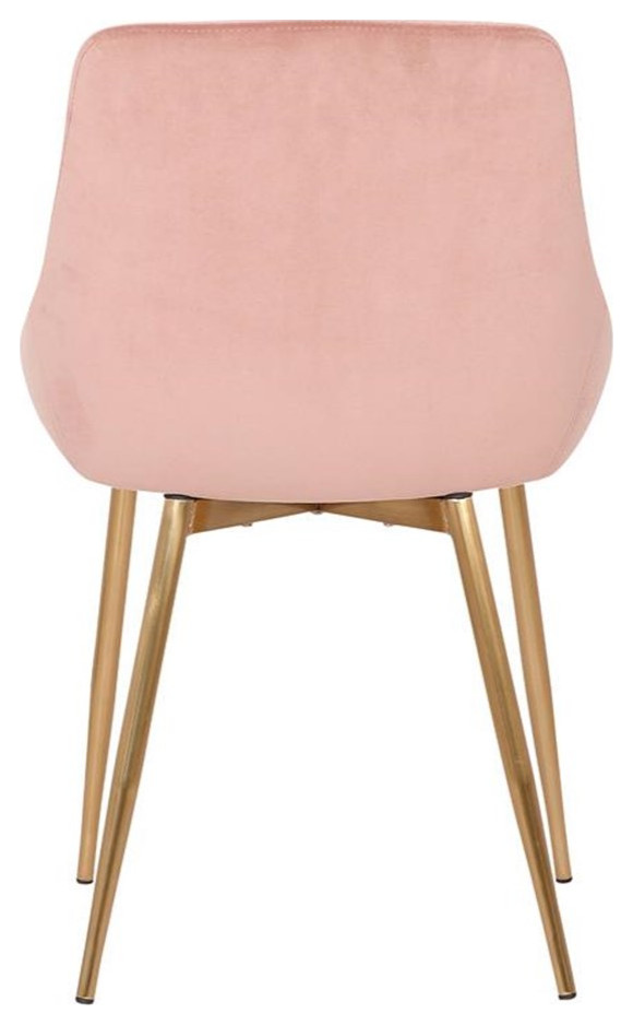 Heidi Velvet Dining Accent Chair   Dining Chairs   by Homesquare  Houzz