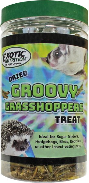 Exotic Nutrition Groovy Grasshoppers Small Animal Treats， 1.41-oz jar