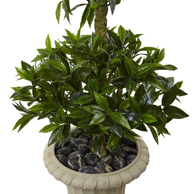 5 5 x27 Triple Bay Leaf Topiary Artificial Tree In Urn Nearly Natural