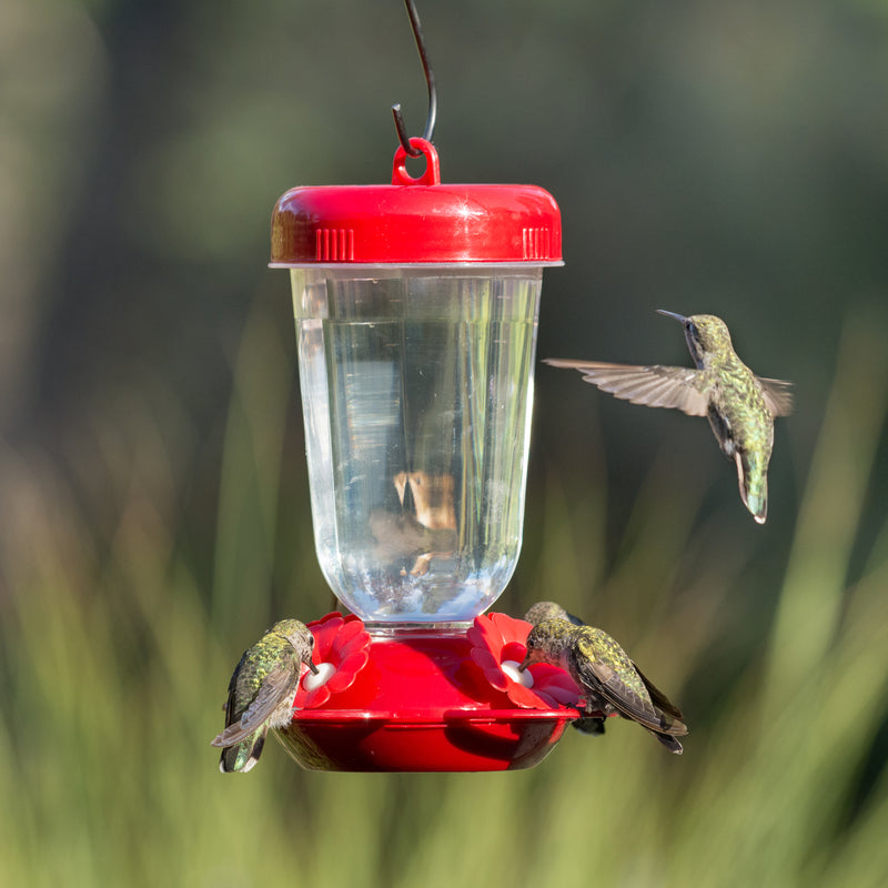 Perky-Pet Red Flower Top-Fill Plastic Hummingbird Feeder – 16 oz