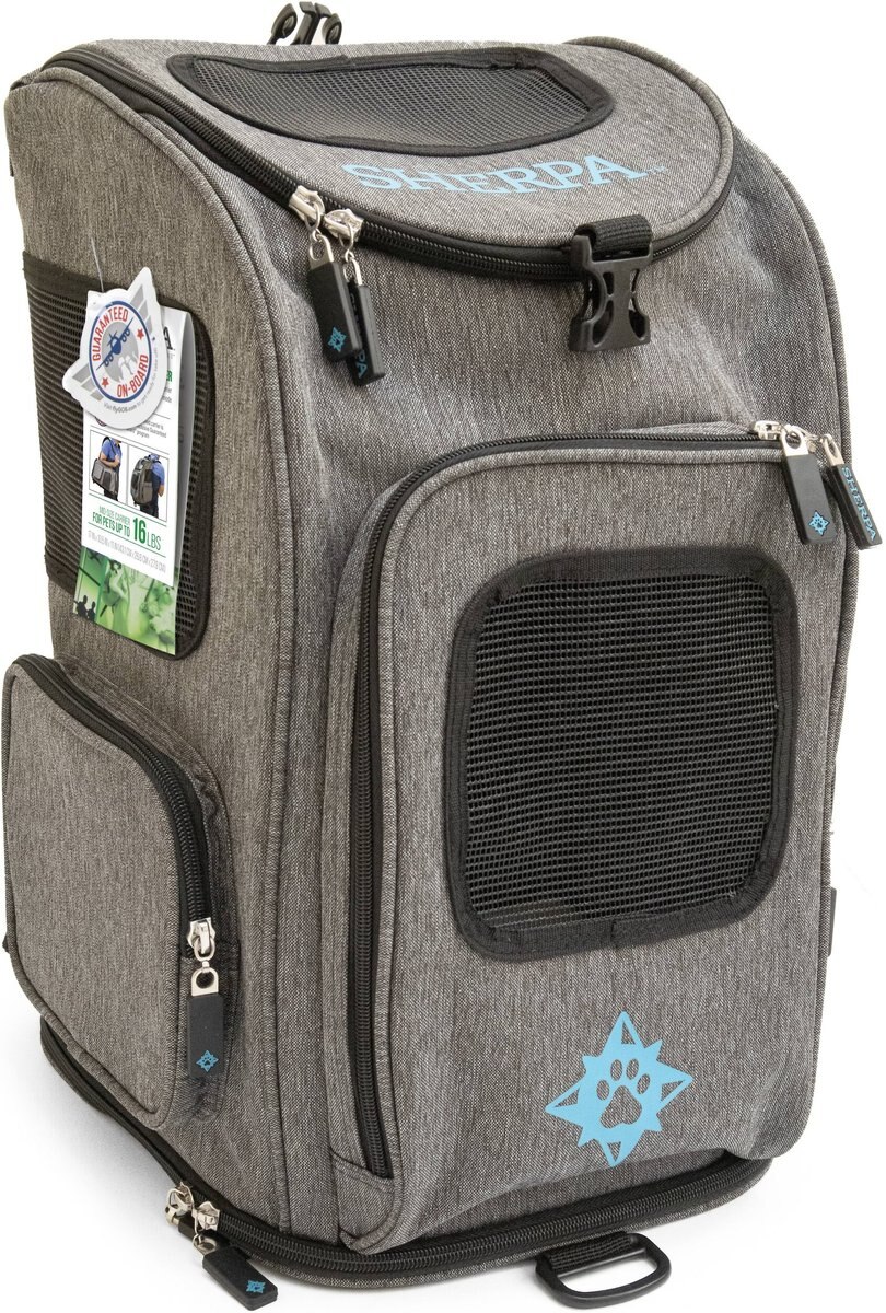 Sherpa Backpack Dog and Cat Carrier， Medium， Gray