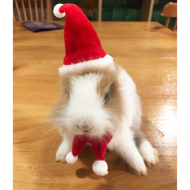 Legendog Small Pet Christmas Costume Hamster Santa Hat Xmas Claus Cap with Scarf for Guinea Pig Chinchillas Rabbit Hamster