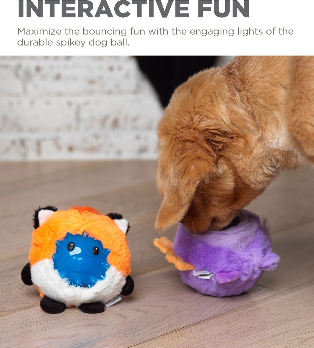 Outward Hound Unbelieva-Ball Fox Interactive Plush Toy with Light Up Dog Ball， Orange