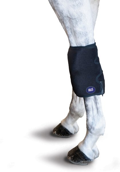 Ice Horse Horse Knee Wrap