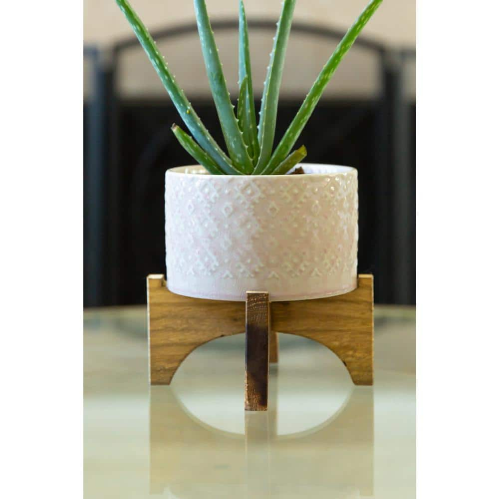 Flora Bunda 5 in. Pink India Ceramic Planter on Wood Stand Mid-Century Planter CT902E-PK