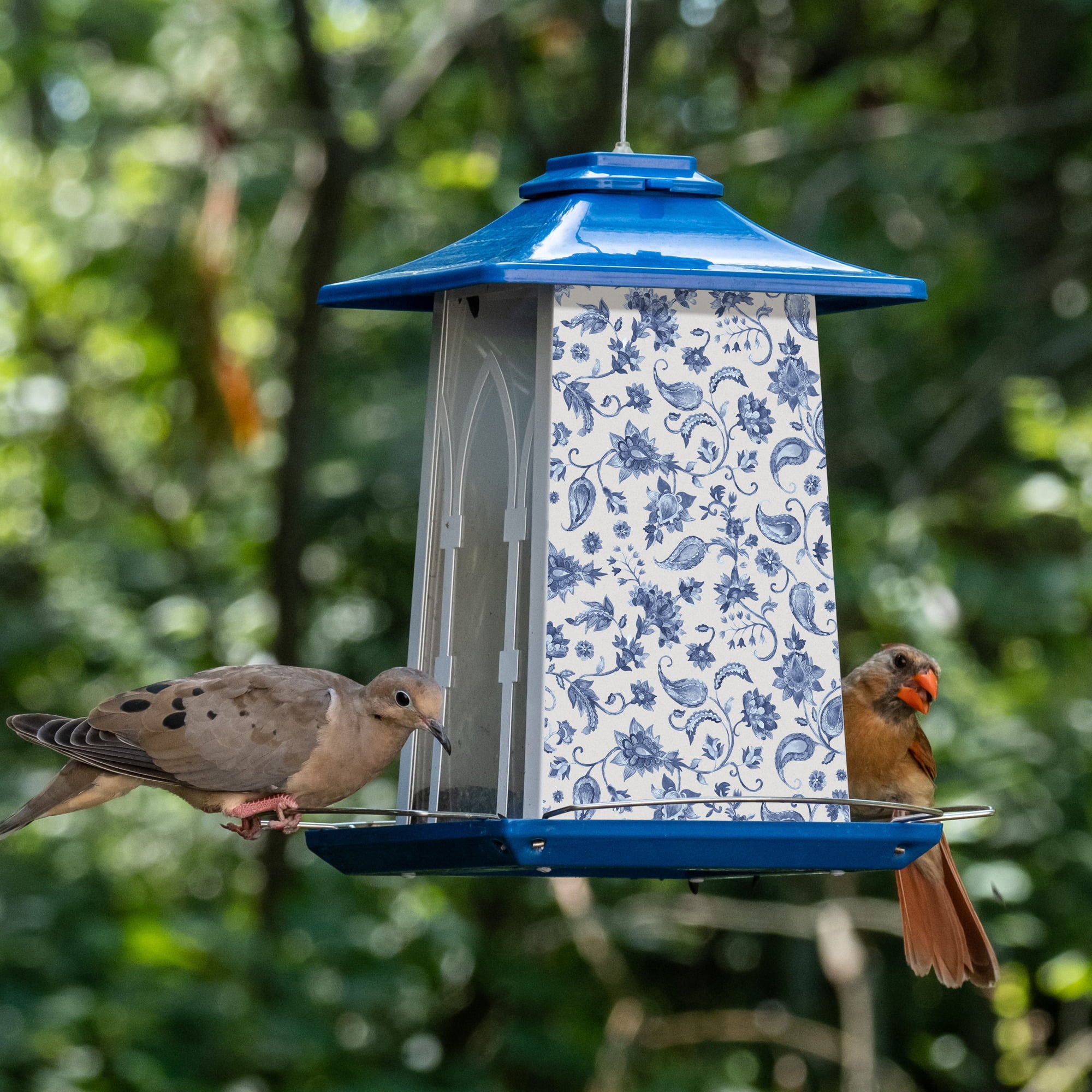 Wild Wings Paisley Arches Gazebo Bird Feeder， 3.3 Quart， Blue