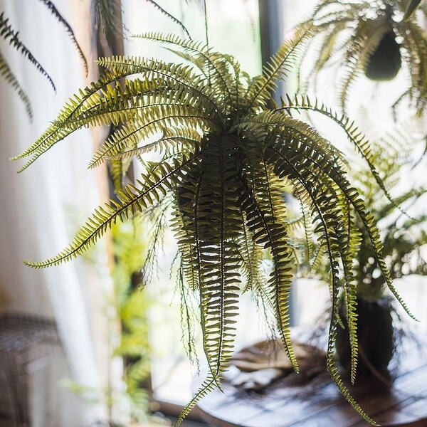 RusticReach Artificial Hanging Fern Plant Décoration