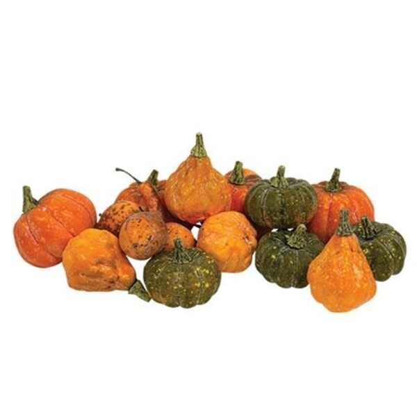 16/Pkg Colorguard Pumpkins and Gourds