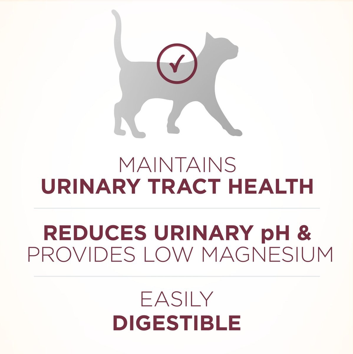 Purina ONE +Plus Urinary Tract Health Formula High Protein Adult Dry Cat Food