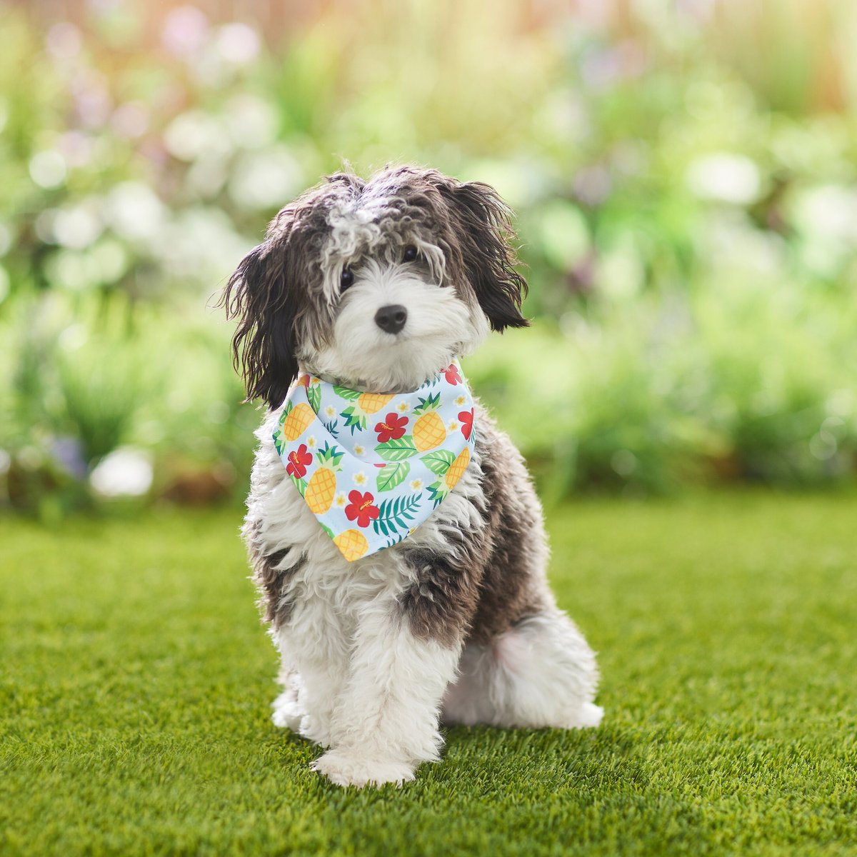 Frisco Hawaiian Pineapple Dog and Cat Bandana