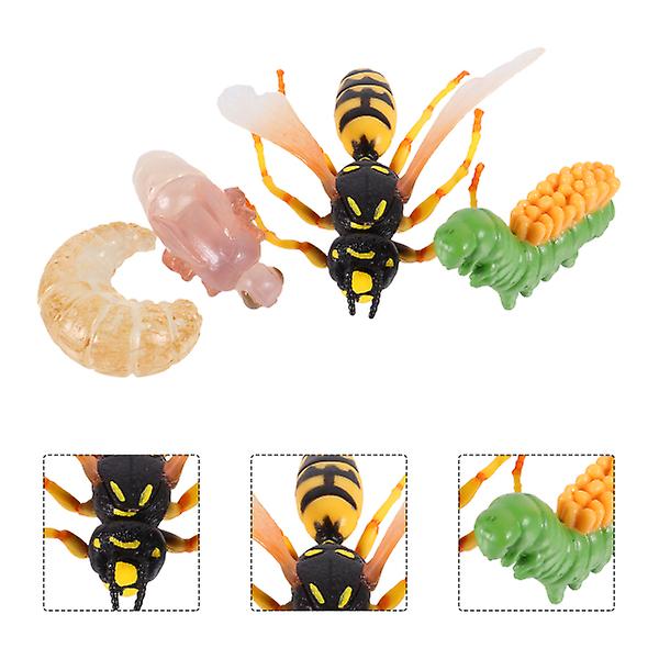 1 Set/4pcs Realistic Insect Growth Model Wasp Display Ornament Kids Cognitive Toy