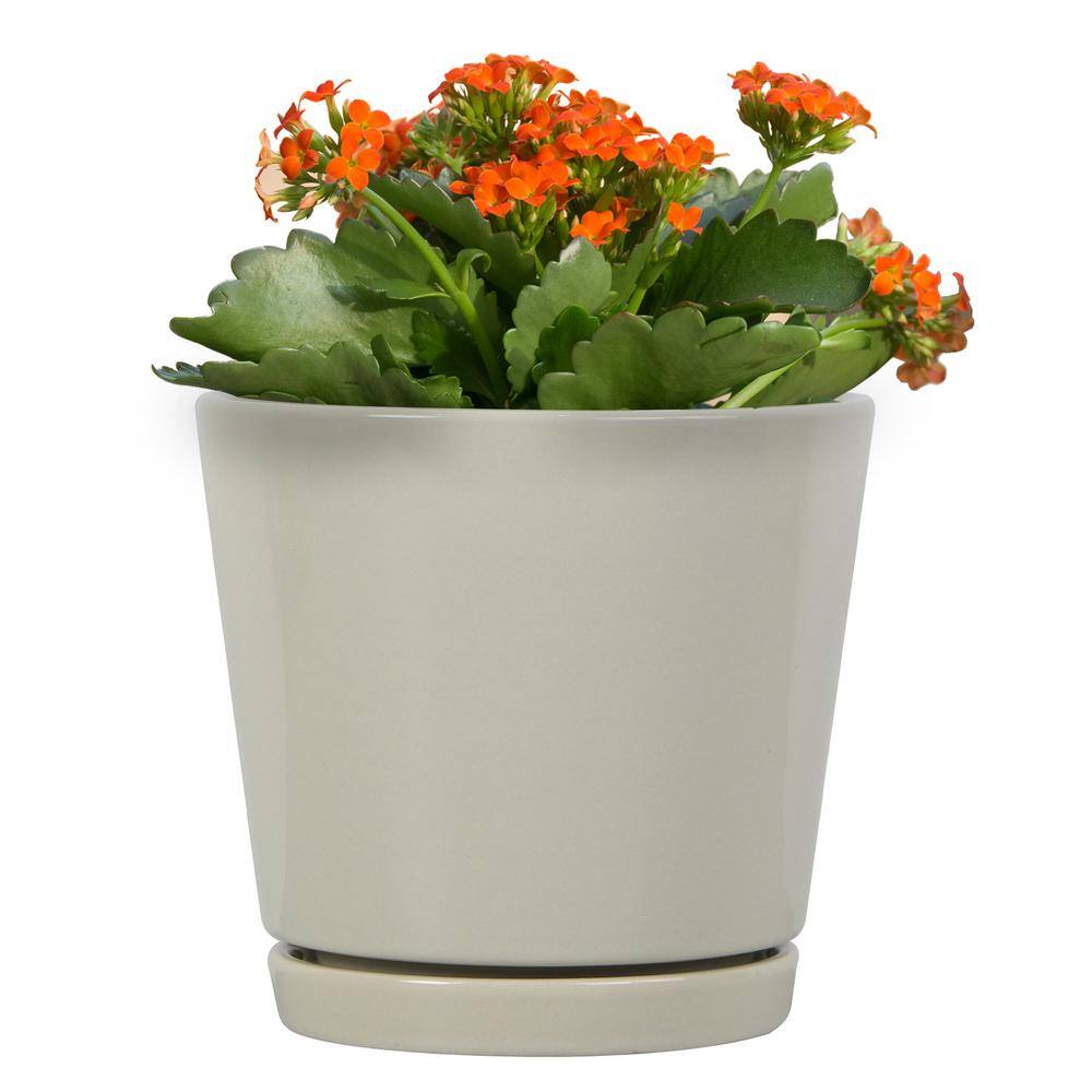 Trendspot 6 in. Oatmeal Knack Ceramic Planter Set of 2 ECR01721S-06W2