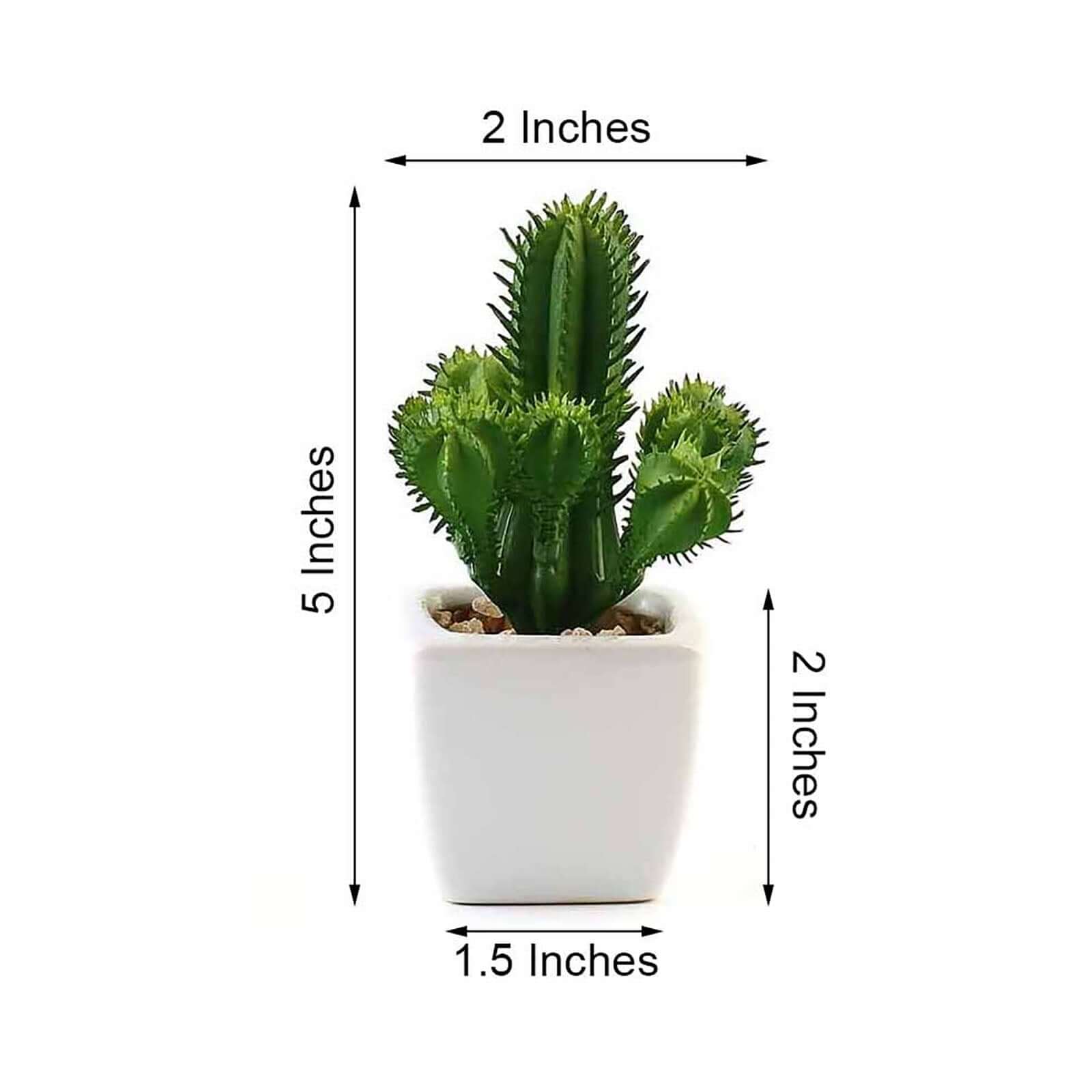 3 Pack Ceramic Planter Pot and Artificial Cacti Succulent Plants 5