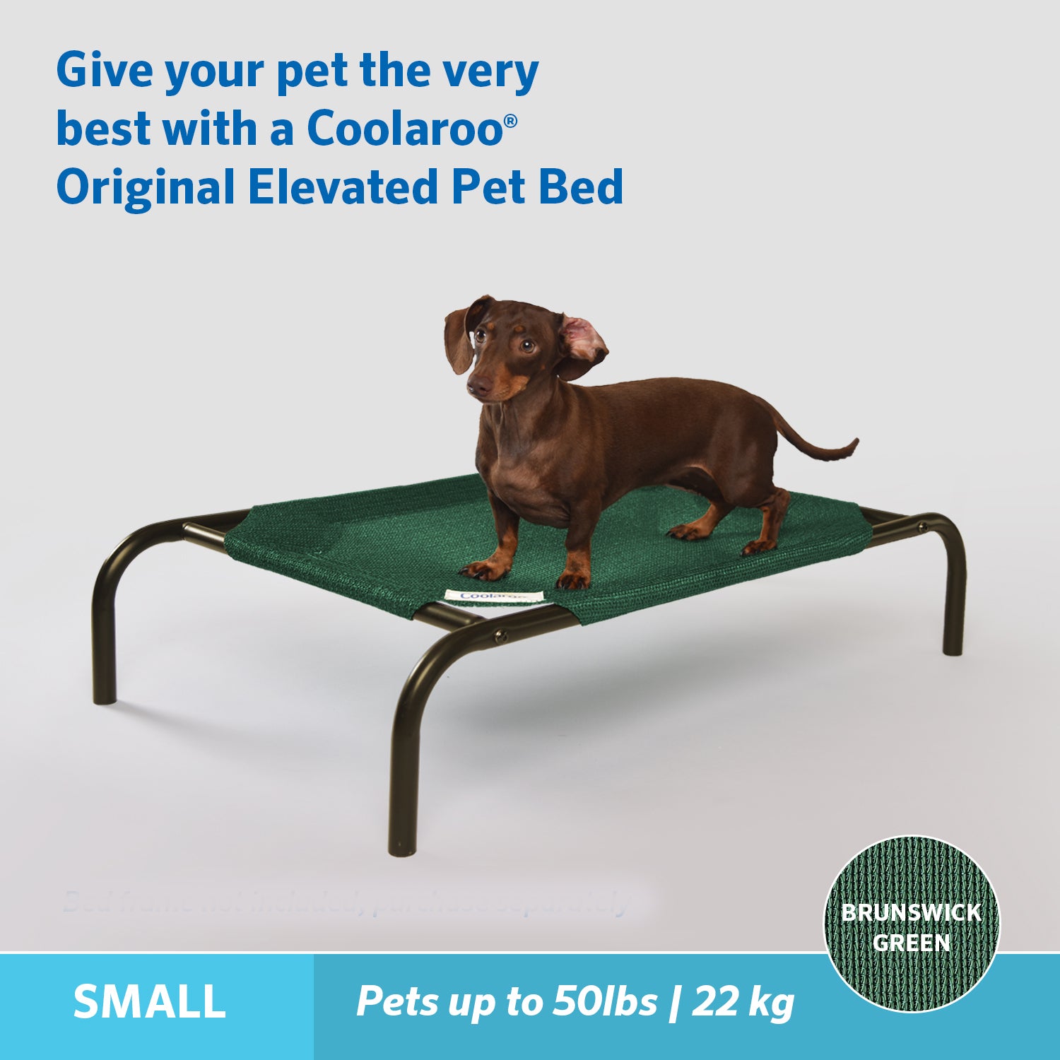 The Original Coolaroo Elevated Pet Dog Bed Replacement Cover， Small， Brunswick Green