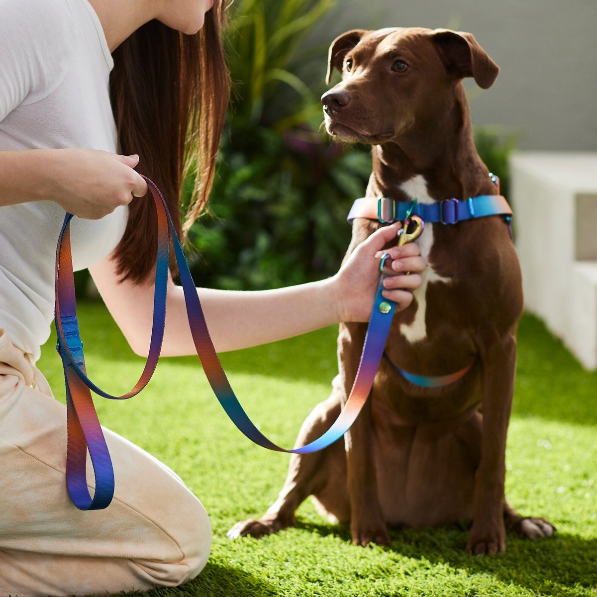 Frisco Purple Ombre Style Dog Leash