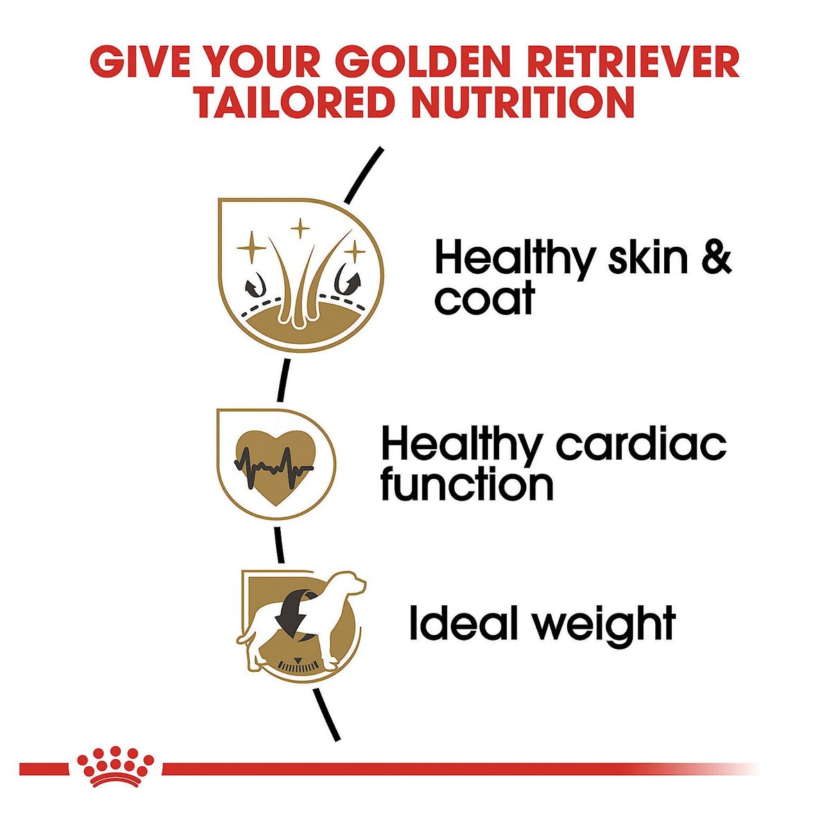 Royal Canin Breed Health Nutrition Golden Retriever Adult Dry Dog Food