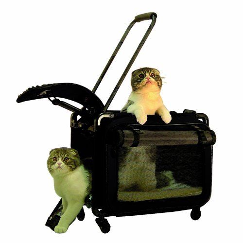 OpenBox Tutto Small Pet on Wheels Stroller， 17-Inch， Black