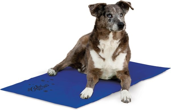 KandH Pet Products Coolin' Dog Mat