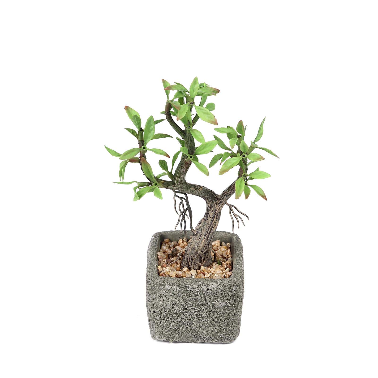 Concrete Planter Pot and Artificial Willow Tree Succulent Plant 9