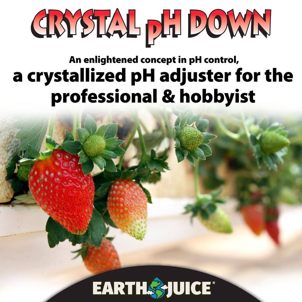 Earth Juice 1.6 lb. Crystal Down pH Adjuster 100538621