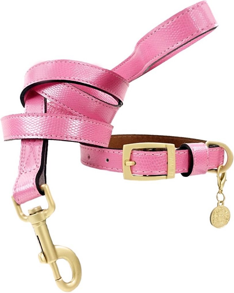 Hartman and Rose Park Avenue Leather Dog Collar