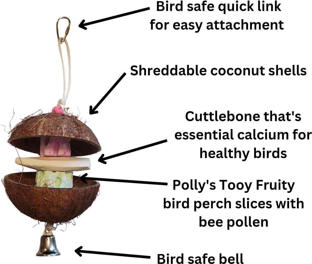 Polly's Pet Products Coconut Hut Bird Perch