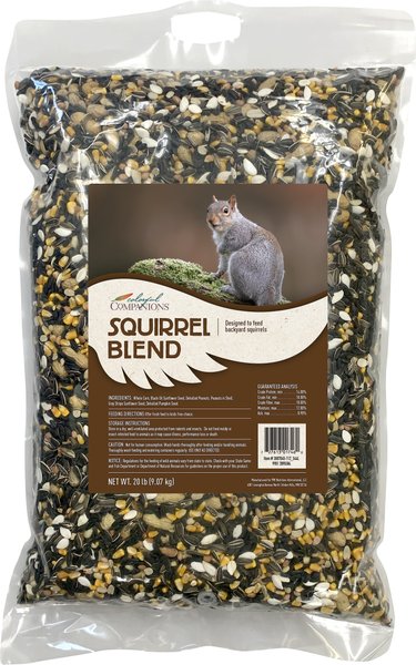 Colorful Companions Squirrel Blend Backyard Wildlife and Wild Bird Food， 20-lb bag