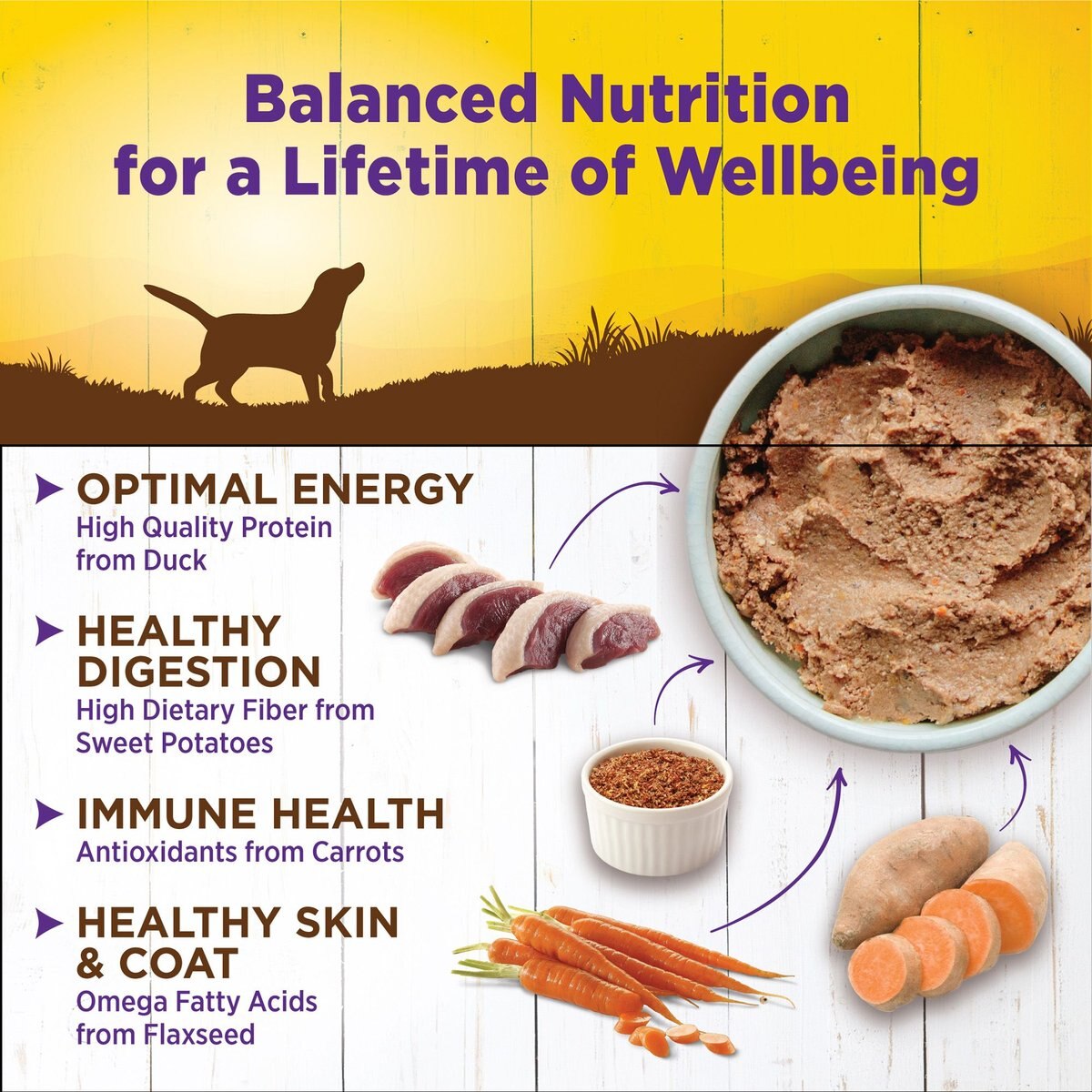 Wellness Complete Health Duck and Sweet Potato Formula Canned Dog Food