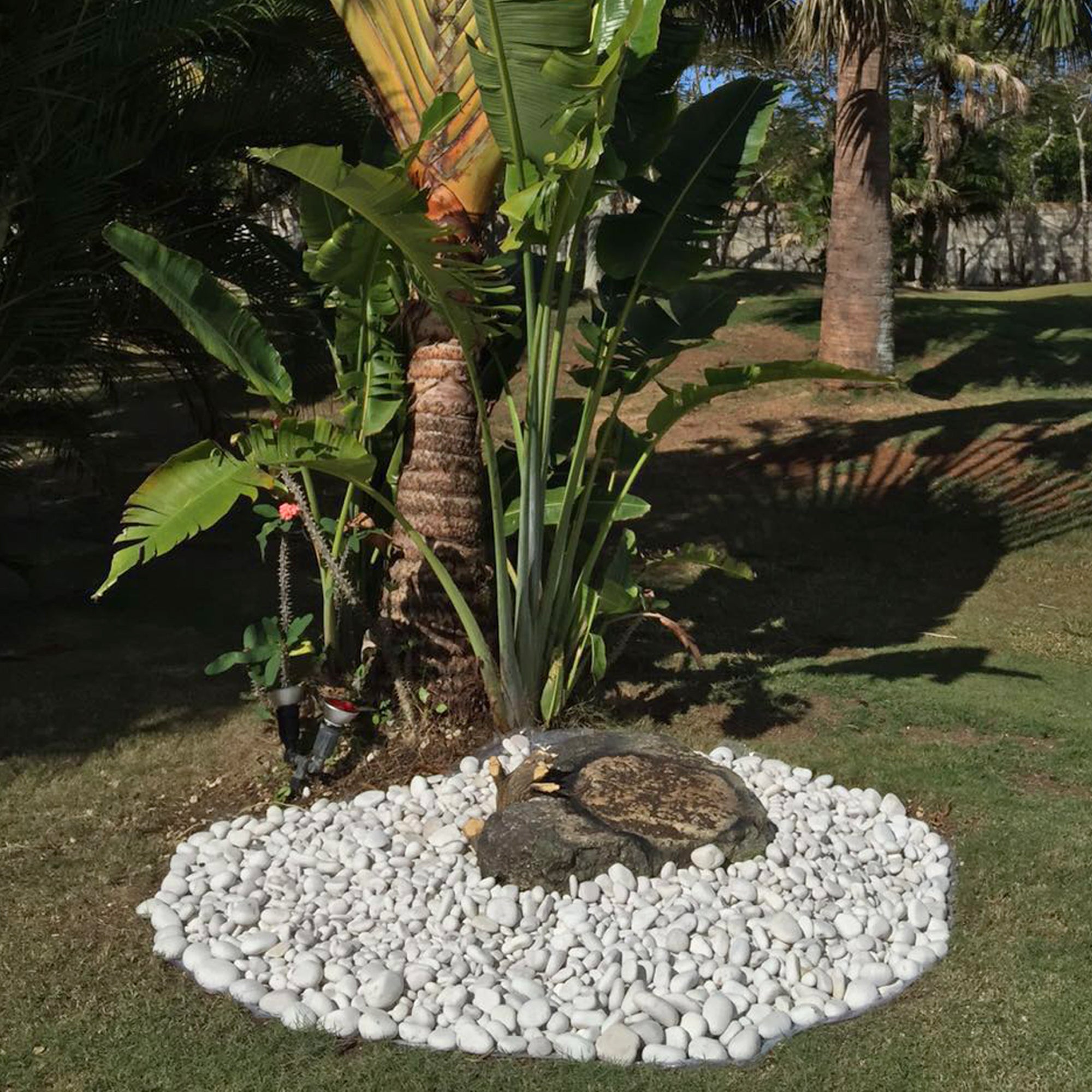 Rainforest, Outdoor Decorative Stones, Caribbean Beach Pebbles, White, 3-5