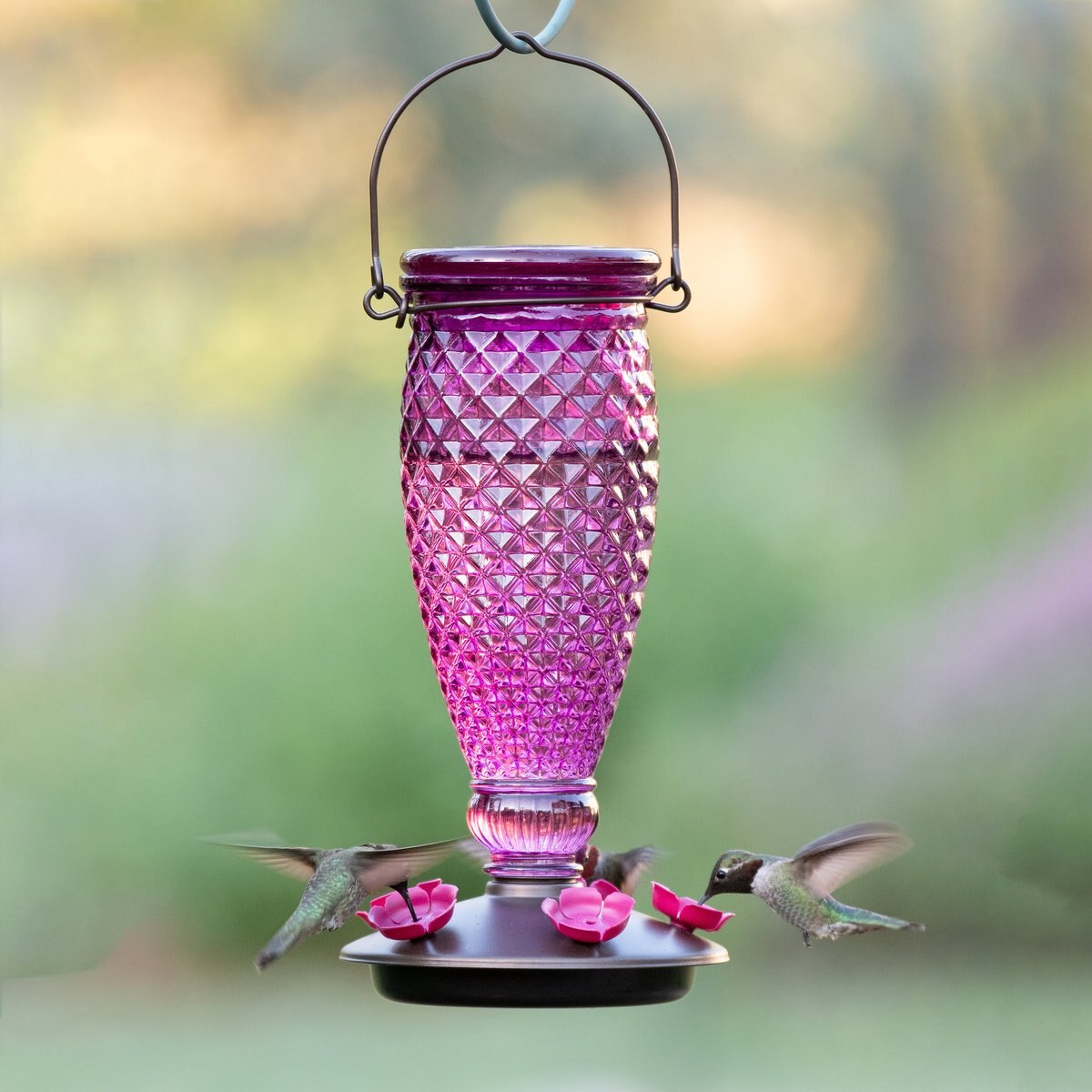 Perky-Pet Diamond Wine Top-Fill Glass Hummingbird Feeder