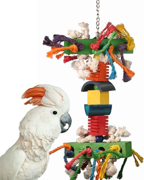 Super Bird Creations In the Groove Bird Toy， X-Large