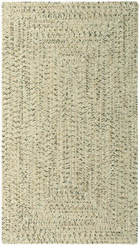 2 x 3 X-Small Shell Taupe Braided Indoor-Outdoor Rug - Sea Glass