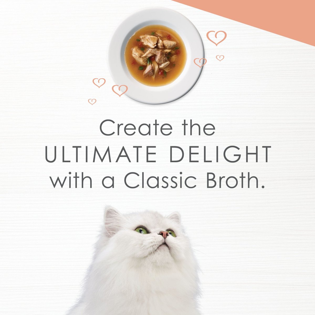 Fancy Feast Classic Broths with Wild Salmon and Vegetables Supplemental Cat Food Pouches