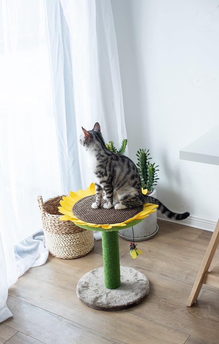 Catry Sunflower 23.2-in Sisal Cat Scratching Post with Toy