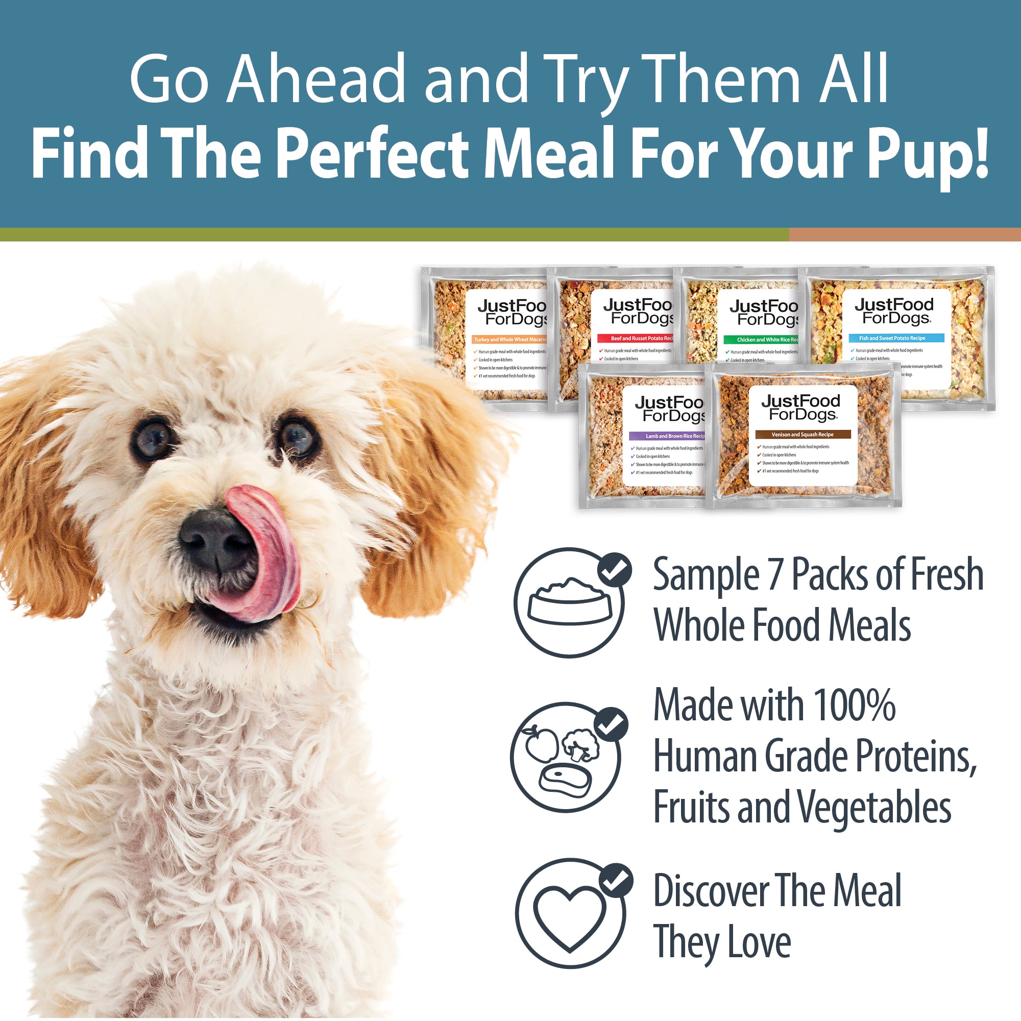 JustFoodForDogs Sampler Variety Box， 18 oz.， Count of 7