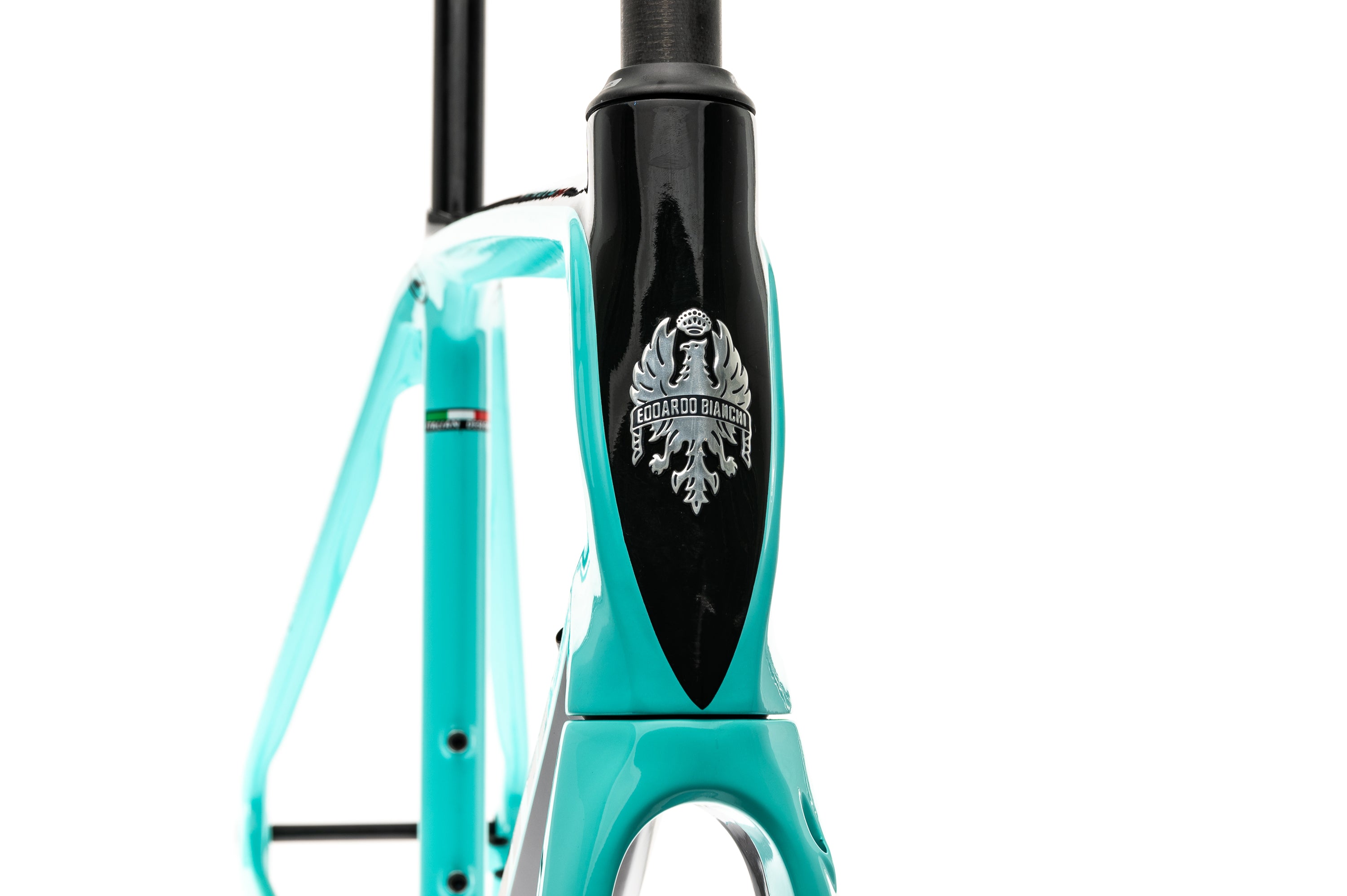 Bianchi Infinito CV 55cm Disc Frameset - 2021