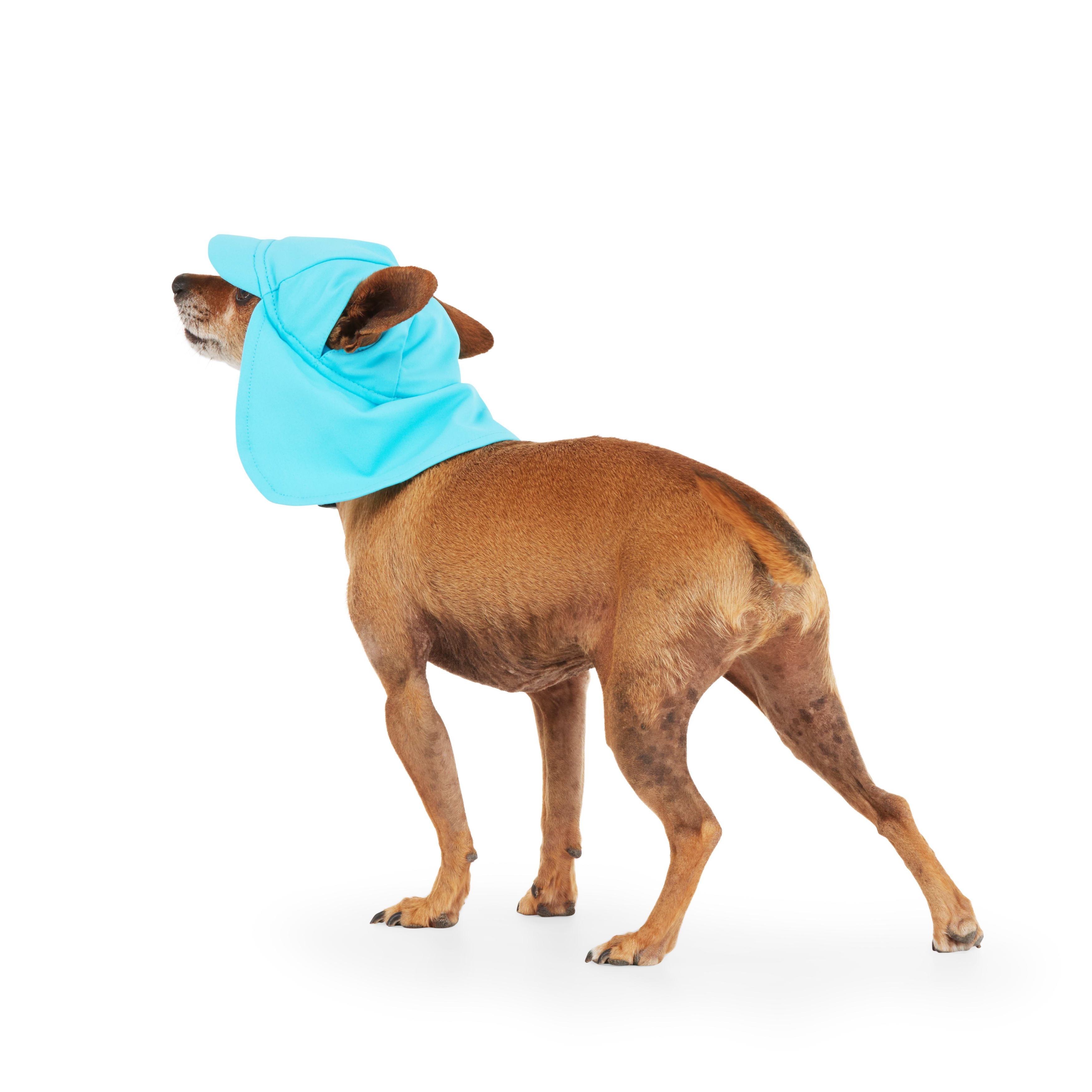 YOULY Blue Cooling Sun Visor for Dogs， X-Small/Small