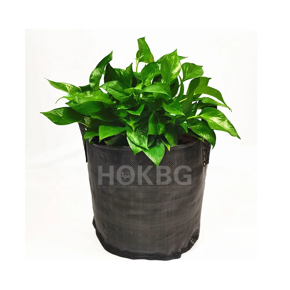 HOKBG 12 gallons Garden flower planting Bag PP material vegetables grow bags shrubs planter grow bags