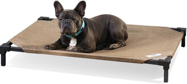 Coolaroo Pro Elevated Dog and Cat Bed